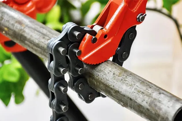 co le xich da nang la gi thumb