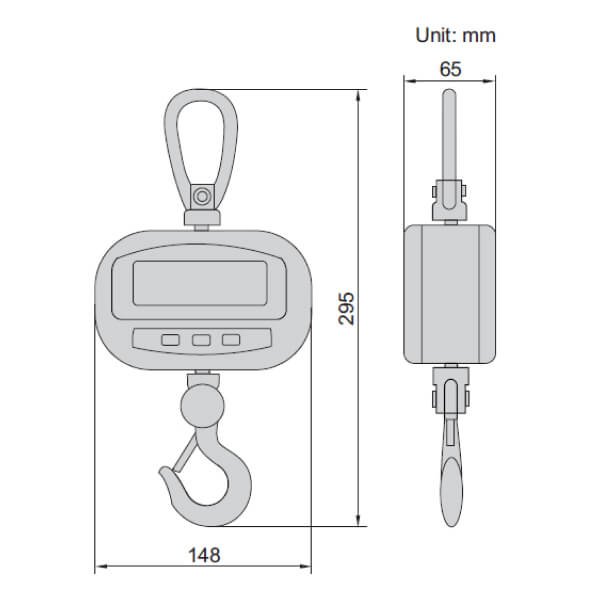 Cân treo điện tử Insize 8202 loại phổ thông