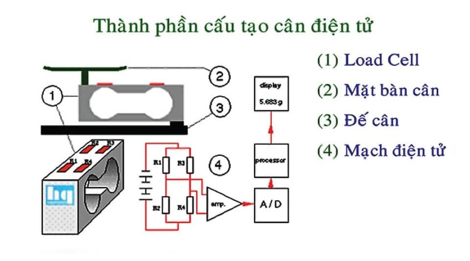 Cấu tạo của cân điện tử