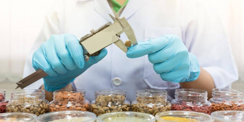 Ứng dụng thước kẹp đồng hồ trong thí nghiệm khoa học