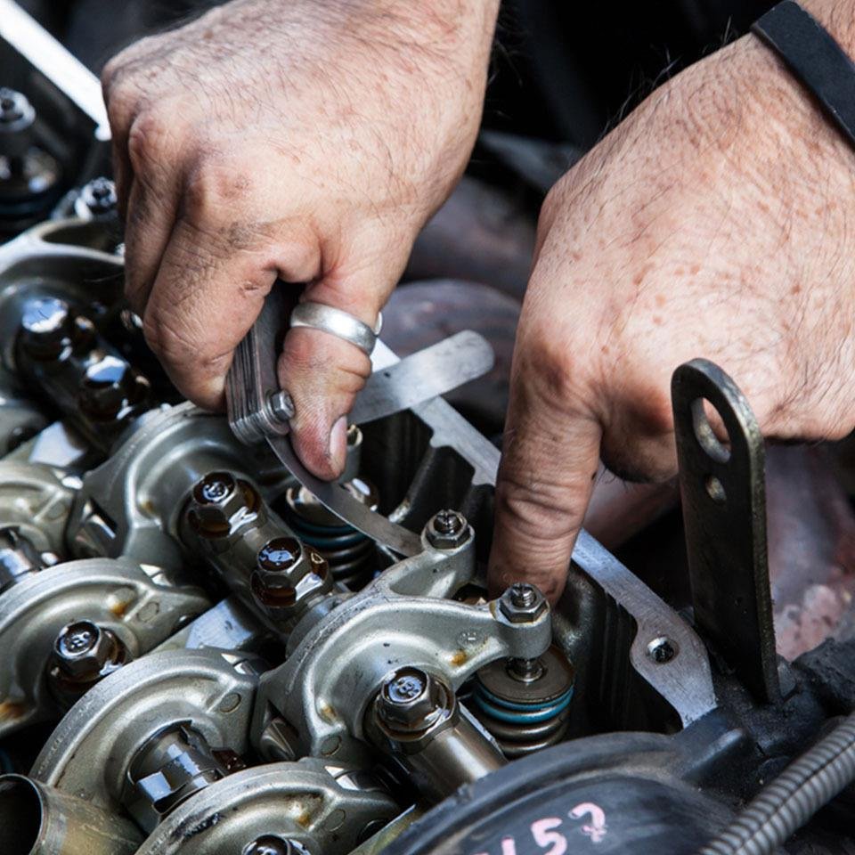 Ứng dụng của căn lá